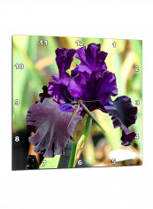 Iris Flower Printed Analog Wall Clock Blue/Green 13 x 0.1 x 13inch
