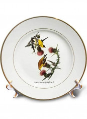 John James Audubon-Porcelain Plate White 8 inch Porcelain Plateinch