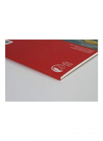 10-Sheets Foundation Series Canvas Paper Pad Multicolour