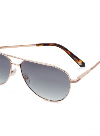 Aviator Sunglasses