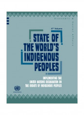 State Of The World's Indigenous Peoples Paperback