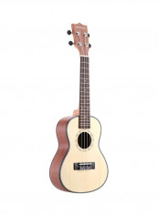 4 Strings Acoustic Wooden Soprano