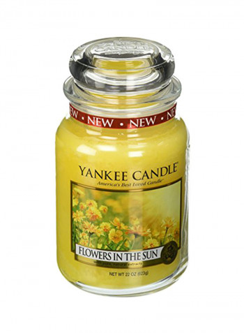 Yankee Candle Large Jar Candle, Flowers In The Sun