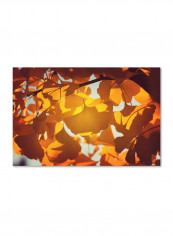 Ginkgo Leaves Canvas Wall Art Yellow 12 x 19inch