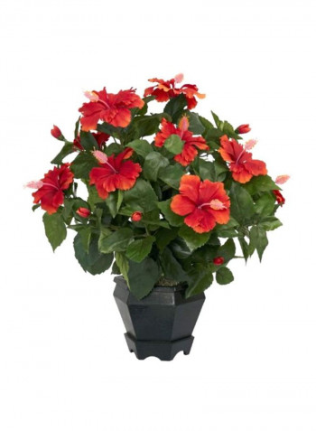 Artificial Hibiscus Flower With Hexagonal Vase Orange/Green/Black