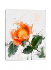 Floral Printed Canvas Wall Art Orange/Green/White 12x20inch