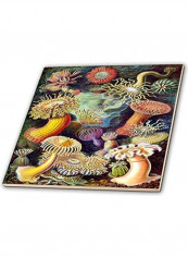 Illustration Of Sea Life Printed Decorative Tile Multicolour