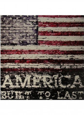 American Flag Painted Ceramic Tile Multicolour 12 x 12inch