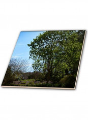 Summer Green Beaming Themed Decorative Tile Multicolour