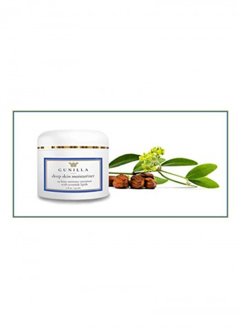 Deep Skin Moisturizer 2ounce