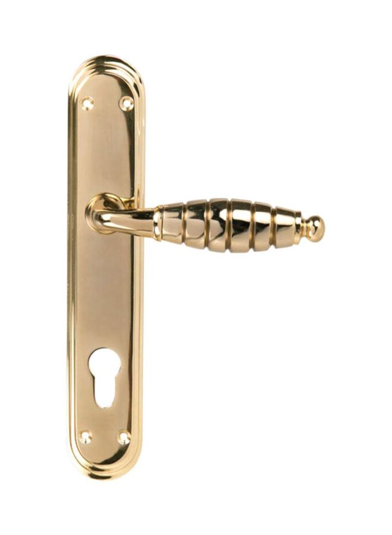 Yale Bath Brass Door Handle Gold 50millimeter