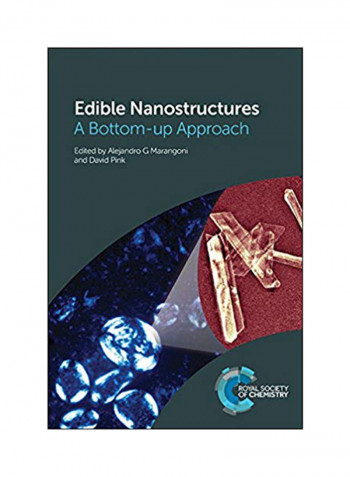 Edible Nanostructures : A Bottom-up Approach Hardcover