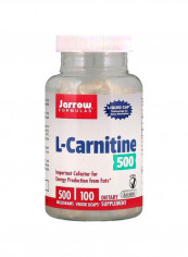 L-Carnitine 500 mg Dietary Supplement - 100 Veggie Licaps