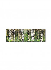 Panoraspens 4 Artwork Canvas Wall Art Multicolour 6 x 19inch