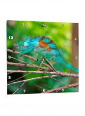Chameleon Printed Wall Clock Multicolour 13 x 13inch