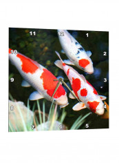Japanese Koi Fish Printed Wall Clock Multicolour 13 x 13inch