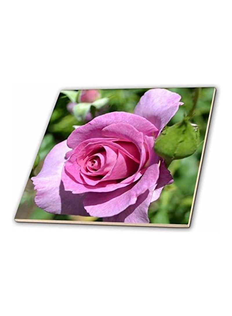 Rose Ceramic Tile Pink/Green
