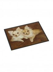 Chihuahua For The Pair Indoor/Outdoor Mat Multicolour 10 x 24inch