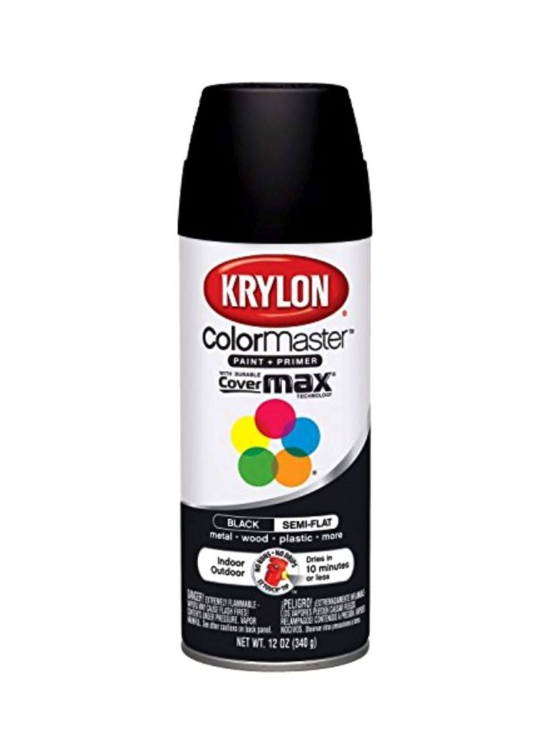 ColorMaster Paint And Primer Black 12ounce