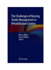 The Challenges Of Nursing Stroke Management In Rehabilitation Centres Hardcover
