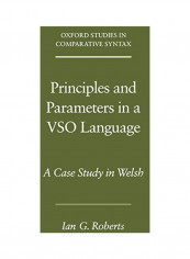 Principles And Parameters In A VSO Language: A Case Study In Welsh Paperback
