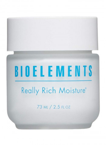 Really Rich Moisture 2.5ounce