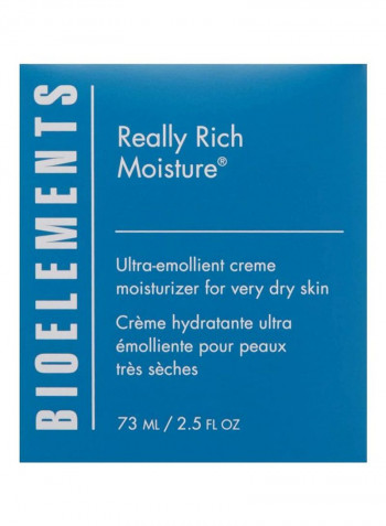 Really Rich Moisture 2.5ounce