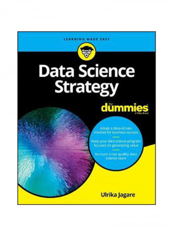 Data Science Strategy For Dummies Paperback