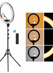 Dimmable Ring Video Light With Phone Holder Tripod White/Black