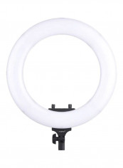 LED Ring Light With Phone Holder White/Black reviews LED Ring Light With Phone Holder White/Black