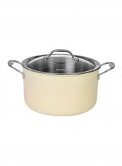 Brigitte Stainless Steel Saucepan With Lid Beige/Silver/Clear 5L