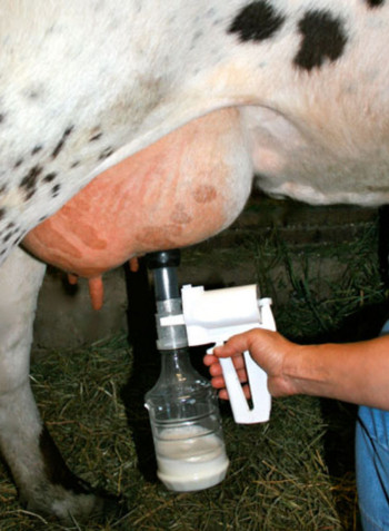 Sheep And Goat Manual Milker White 1L