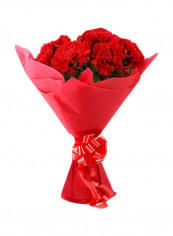 Carnation Bouquet Red reviews Carnation Bouquet Red