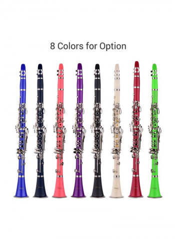 17-Key Clarinet With Accessories