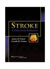 Stroke: A Practical Approach Hardcover English by James D. Geyer