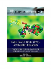 PAKs, RAC/CDC42 (p21)-activated Kinases: Towards the Cure of Cancer and Other PAK-dependent Diseases Hardcover English by Hiroshi Maruta