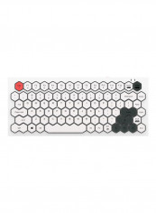 Mofii Phoneix Wireless Bt Mixed colour 83 Key Mini Portable Girls Keyboard For Phone/Tablet/Laptop أبيض تقييمات Mofii Phoneix Wireless Bt Mixed colour 83 Key Mini Portable Girls Keyboard For Phone/Tablet/Laptop أبيض