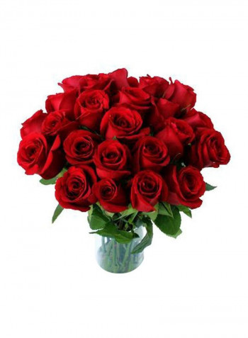 21-Piece Sentional Red Roses Bouquet With Vase Red/Green/Clear