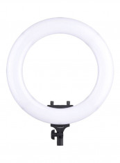 LED Ring Light With Phone Holder Black reviews LED Ring Light With Phone Holder Black