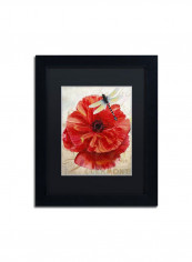Le Pavot Dragonfly Framed Wall Art Multicolour 11 x 14inch