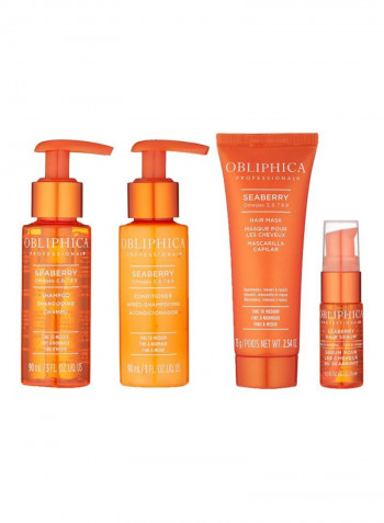 4-Piece Seaberry Set
