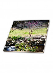 Little Creek In The Botanical Gardens Printed Coaster Multicolour