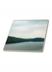 View Of Water From A Bridge Printed Coaster Multicolour