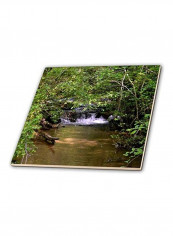 A Small Waterfall in a Stream Ceramic Tile Multicolour 12  x 12inch