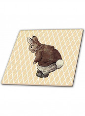 Vintage Peter Rabbit Tile Multicolour 12x12x0.25inch