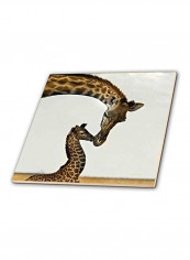 Giraffe Mama And Baby Ceramic Tile Multicolour 12 x 12inch