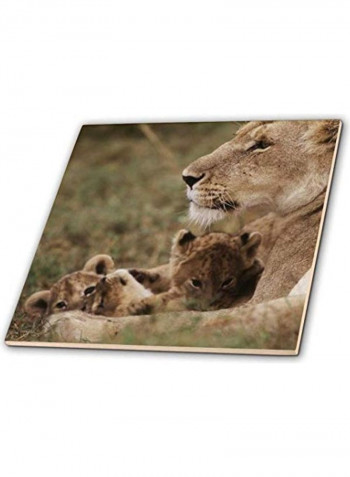 Mother Lion Sitting With Cubs Tile Multicolour 12x12x0.25inch