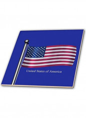 The Flag Of USA Printed Decorative Wall Hanging Tile Blue/Green