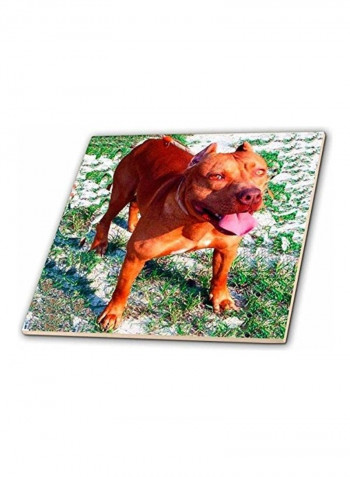American Pitbull Ceramic Tile Multicolour