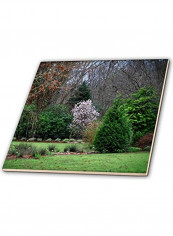 Botanical Gardens Printed Decorative Tile Green/Grey/Brown
